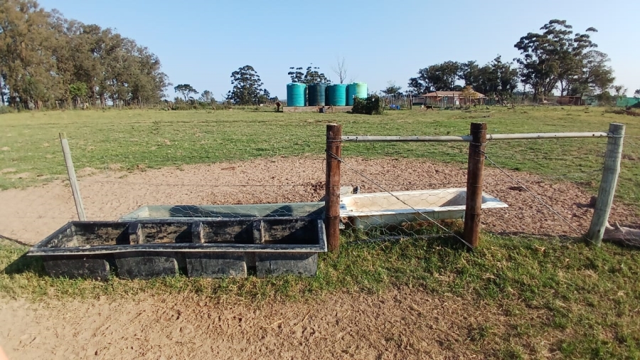 Commercial Property for Sale in Bathurst Eastern Cape